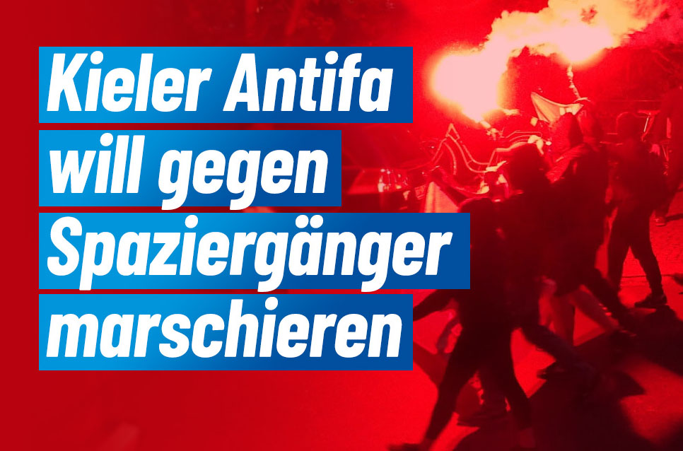 Antifa Plant Marsch Gegen Spazierg Nger Afd Schleswig Holstein Kiel