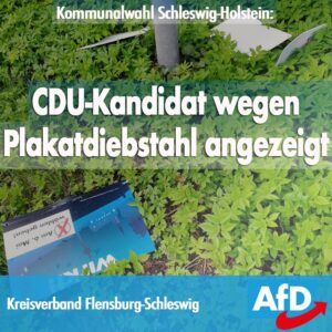 AfD Bundestagswahlkampf beginnt mit reichhaltiger Auswahl an Motiven