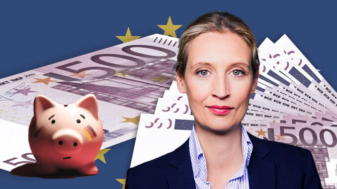 Alice Weidel Bargeld bedeutet Freiheit und Datenschutz
