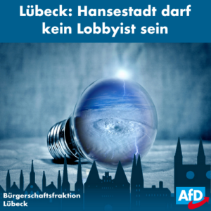 AfD Lübeck Lobbyismus