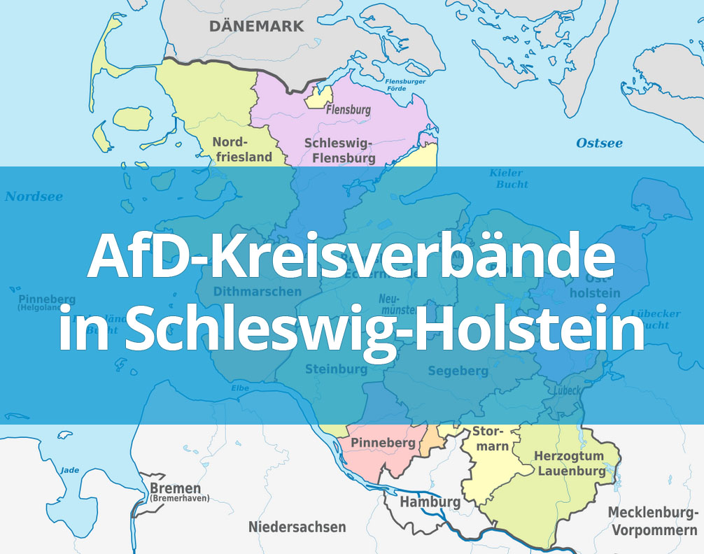 Alternative Für Deutschland Startseite Landesverband Schleswig Holstein