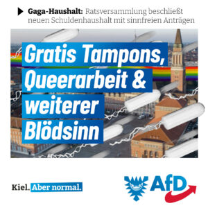 AfD Kiel: Ratsversammlung beschließt Gaga-Haushalt