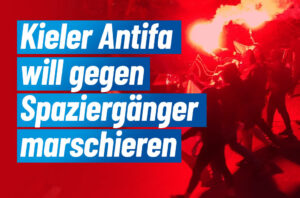 AfD Kiel Antifa