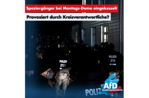 AfD-Kreisverband Rendsburg-Eckernförde Demo Spaziergänger