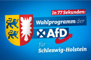 Wahlprogramm Video AfD Schleswig-Holstein