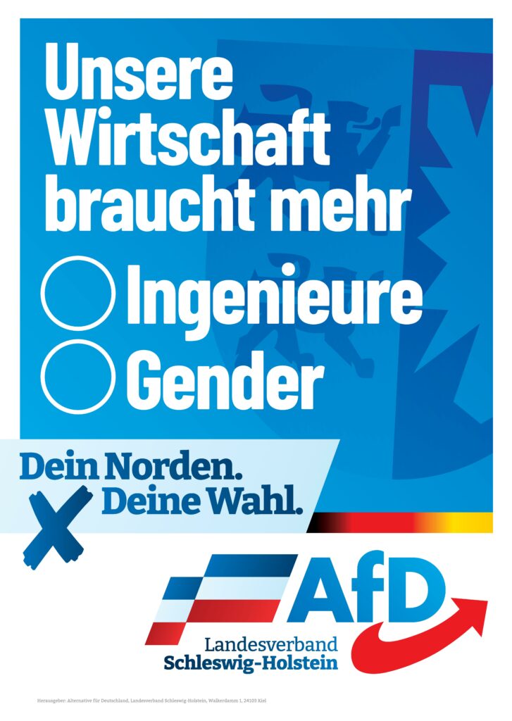 Plakat der AfD zur Landtagswahl 2022: Unsere Wirtschaft braucht mehr Ingenieure oder Gender