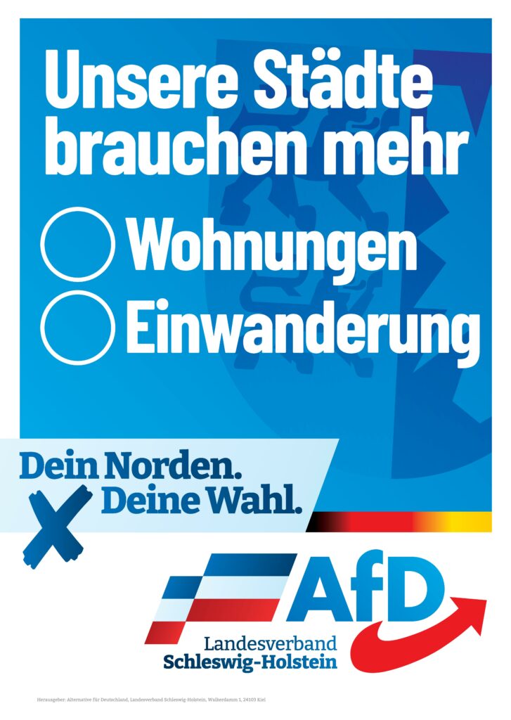 Plakat der AfD zur Landtagswahl 2022: Unsere Städte brauchen mehr Wohnungen oder mehr Einwanderung