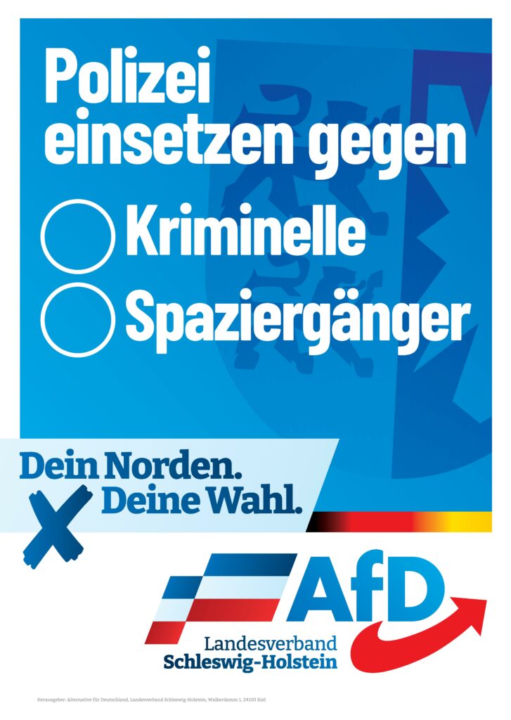 Plakat der AfD zur Landtagswahl 2022: Polizei einsetzen gegen Kriminelle oder gegen Spaziergänger