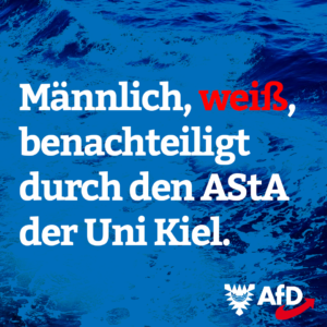 AfD Kiel Uni