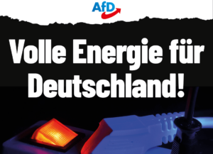 AfD Energie