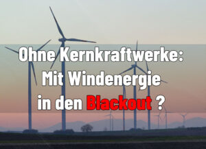 AfD Steinburg Windenergie