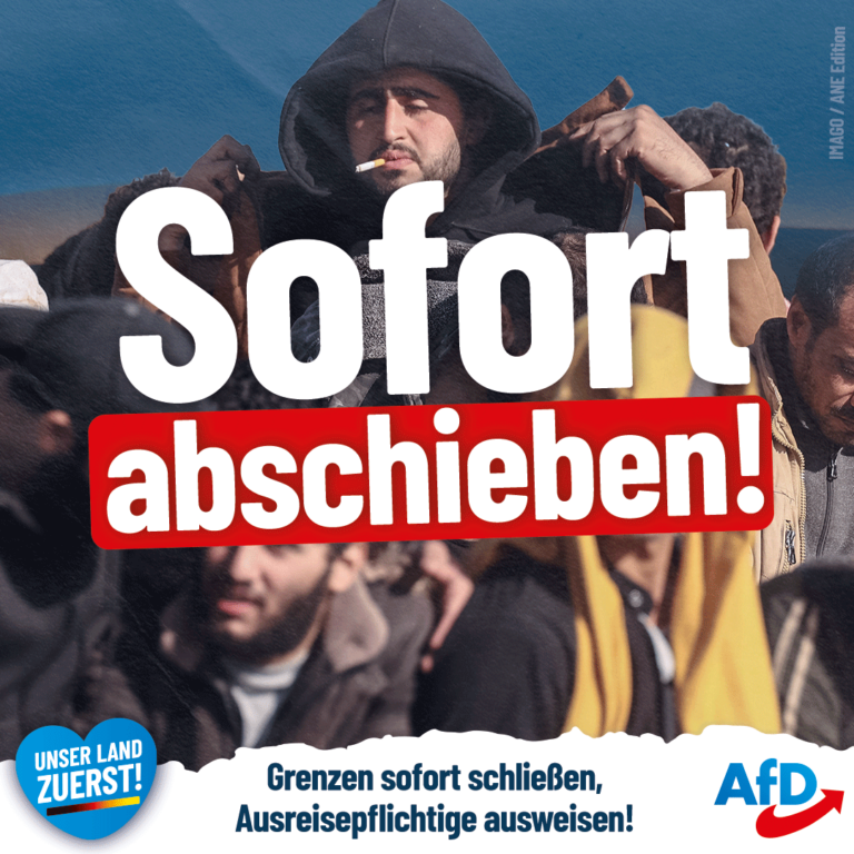 Statt Schneller Einbürgerung: Grenzen Schließen Und Abschieben! | AfD ...