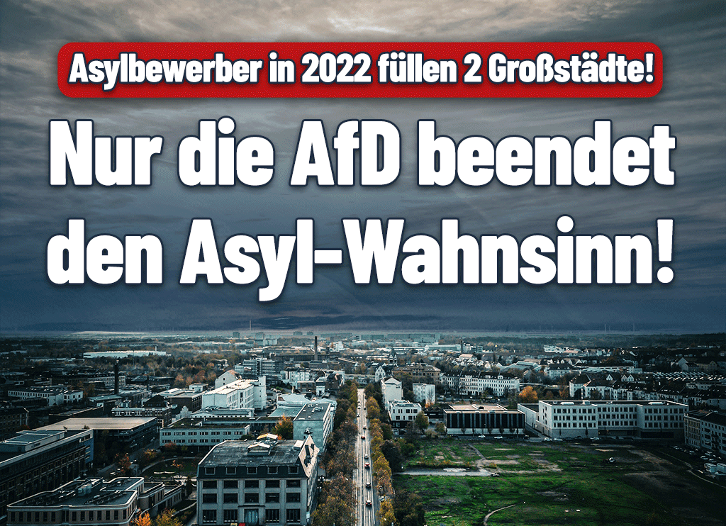 Afd Schleswig Holstein Landesverband Der Alternative Für Deutschland